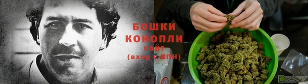 мдпв Магас