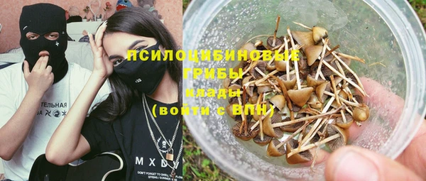 мдпв Магас