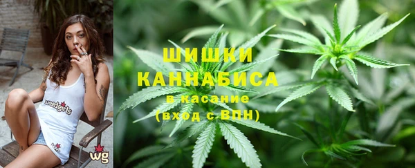 тгк Липки