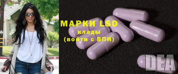 мдпв Магас