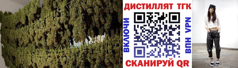 купить наркотики сайты  Луга  Дистиллят ТГК Wax 