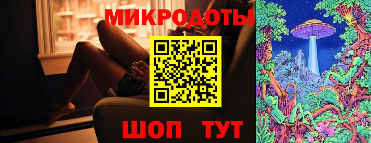 Псилоцибиновые грибы прущие грибы Луга