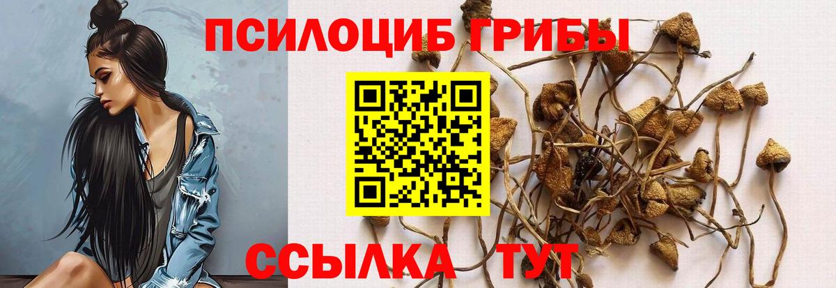 Псилоцибиновые грибы мухоморы  Вход с VPN  Луга 