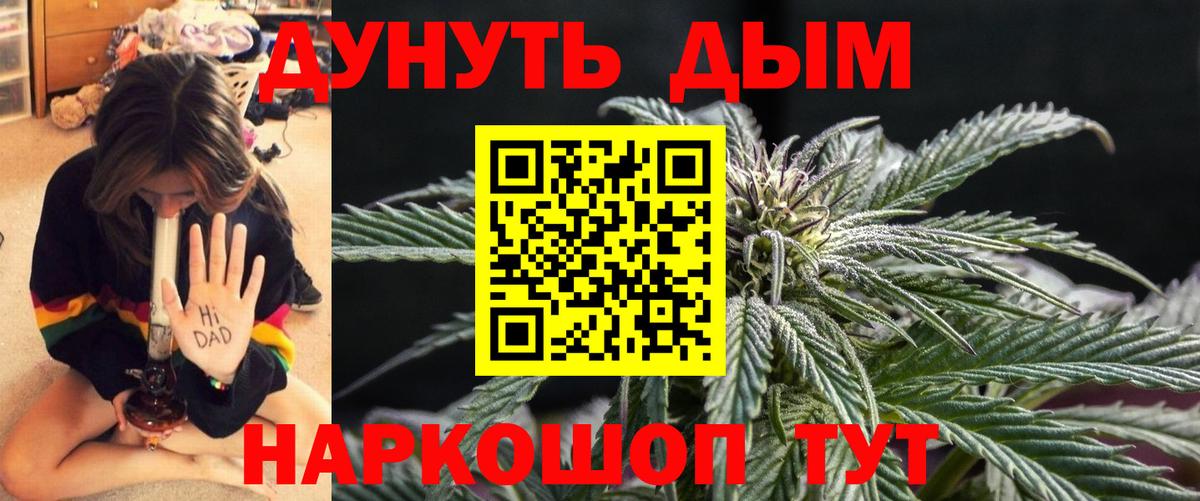 Канабис план Луга
